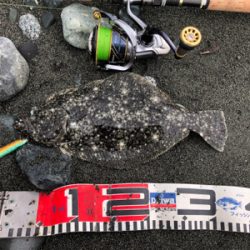 幼稚園児揃い踏み