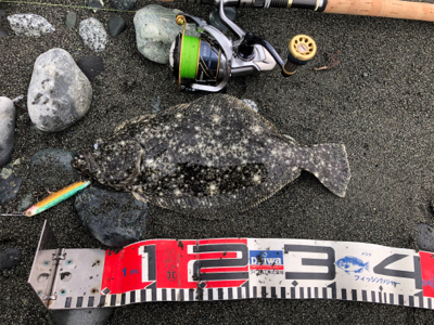 幼稚園児揃い踏み