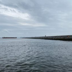 ハマチありがとう