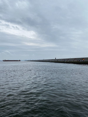 ハマチありがとう