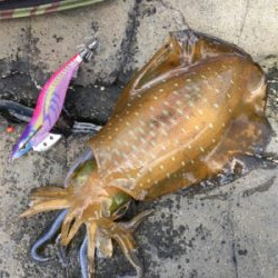 午後からの釣行