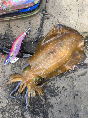 午後からの釣行