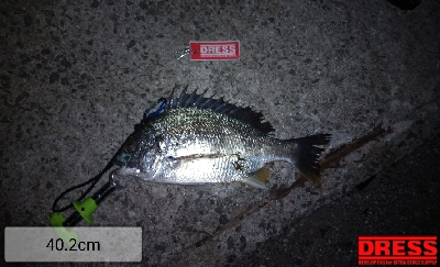 今年初の釣果？