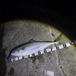 後2センチほしかった!