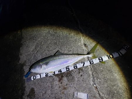 後2センチほしかった!