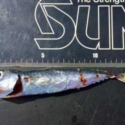 今年初❗️ 釣行&釣果?