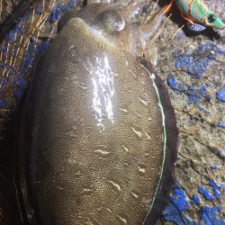 福井で初めての投稿