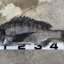 イチノ兄弟、釣果！