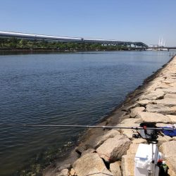 結局、エビ撒き釣り