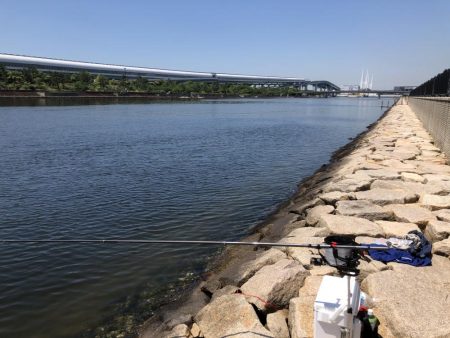 結局、エビ撒き釣り