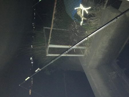 ウナギ〜パート２