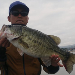 バス釣りボート