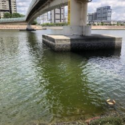 自粛解禁、しかし