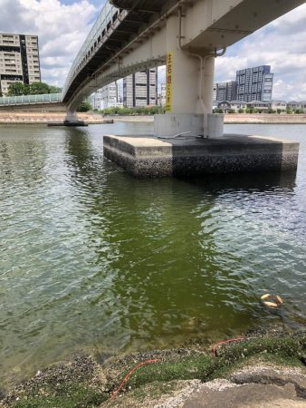 自粛解禁、しかし