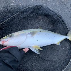 セットアッパーで○○○