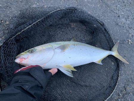 セットアッパーで○○○