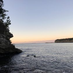 イカにフラれて…