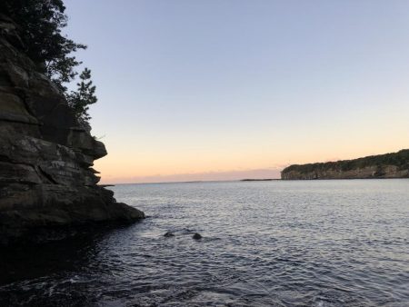 イカにフラれて…