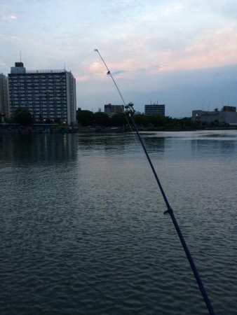 淀川のウナギ釣りパート6