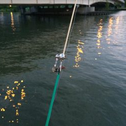 淀川のウナギ釣りパート4