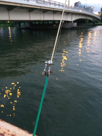 淀川のウナギ釣りパート4