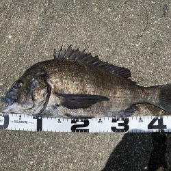 イチノ兄弟、釣果！