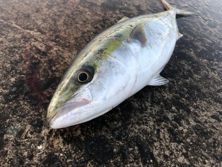 激シブでしたが