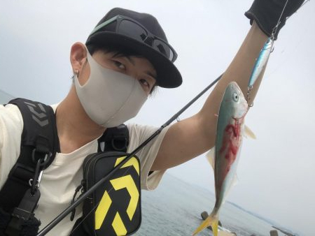 サーフフィッシングの釣果