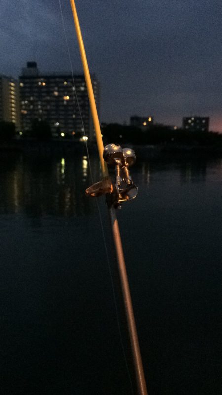 ウナギ釣りパート7