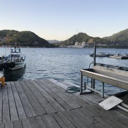 春イカチャレンジ!!