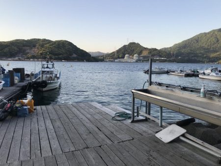 春イカチャレンジ!!