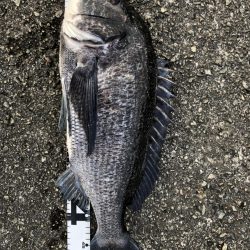 イチノ兄弟、釣果!