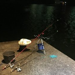 狙い通りのカサゴ