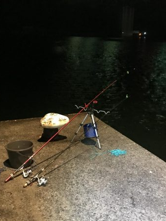 狙い通りのカサゴ