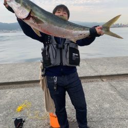青物ラッシュ!!神戸沖堤防にて