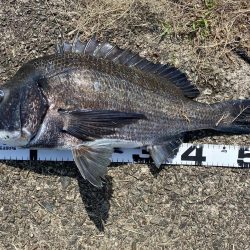 イチノ兄弟、釣果!