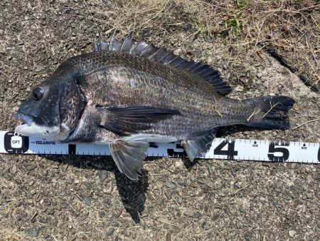 イチノ兄弟、釣果！