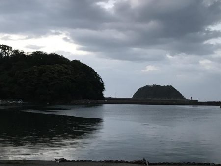 久々のアジング