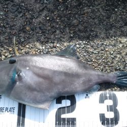 開園再開即釣行