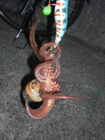 オクトパッシングは!