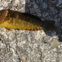 久しぶりの市役所裏