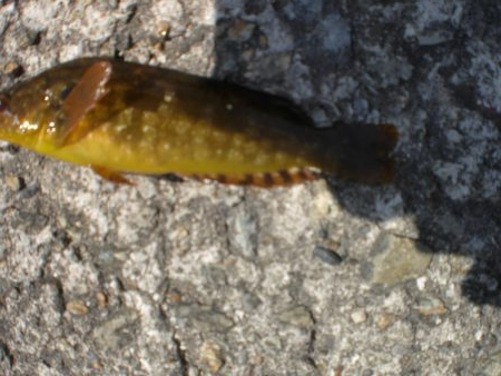 久しぶりの市役所裏