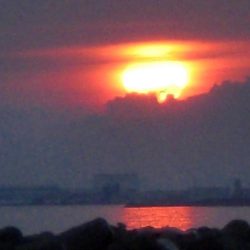 タコおったぞ！