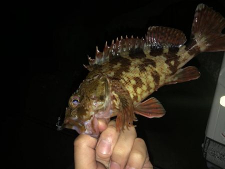 ガシライトゲーム