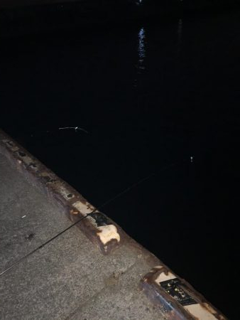 坊主逃れのアナゴ