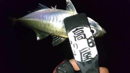 仕事帰りにアジング