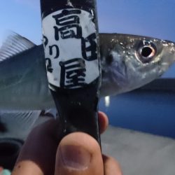 久しぶりの淡路島