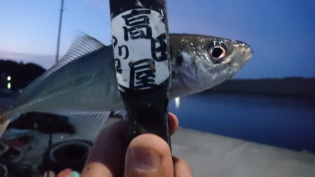 久しぶりの淡路島