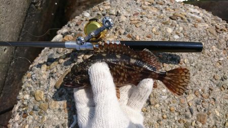 久しぶりの穴釣り