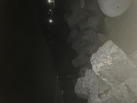 人一杯！メバルはそれなり。